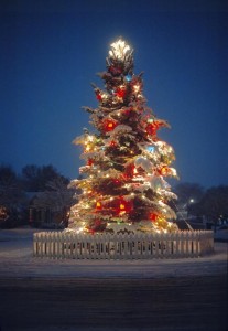 outdoor-christmas-tree-utah-images