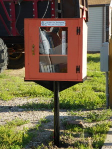 Little Library 003